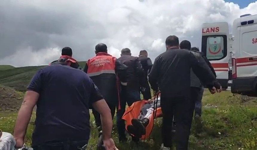 Mantar toplarken ayı saldırısına uğradı