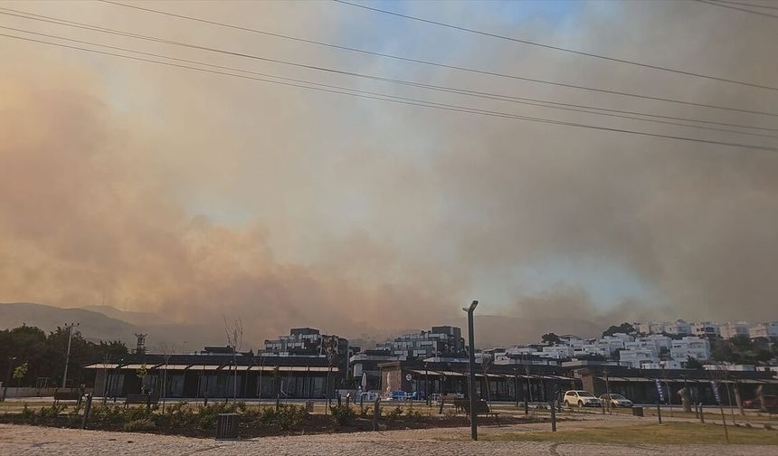 İzmir'de ziraat alanından ormana sıçrayan yangına müdahale ediliyor