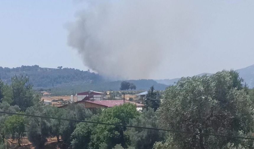 Muğla'nın Seydikemer ilçesinde orman yangını çıktı