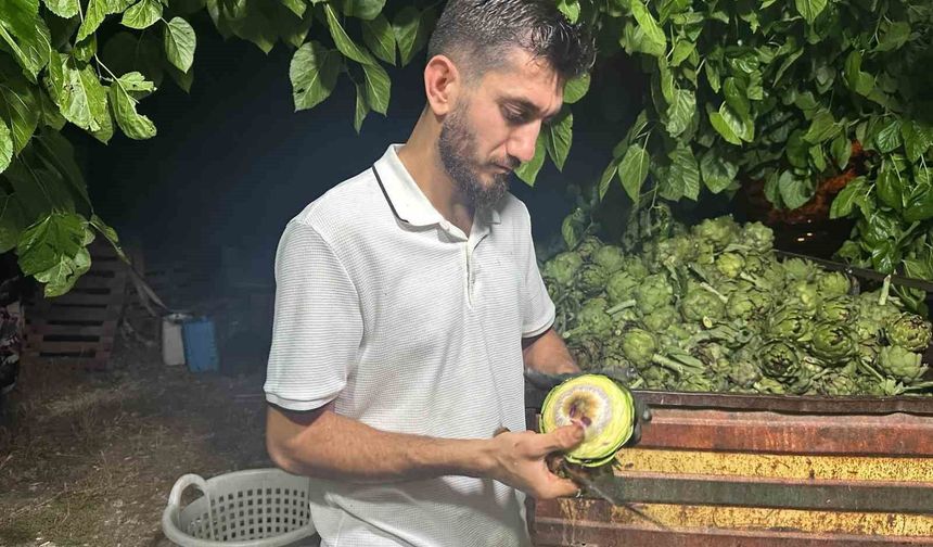 Ailecek enginar soyucular: Soyması 10 saniye sürüyor