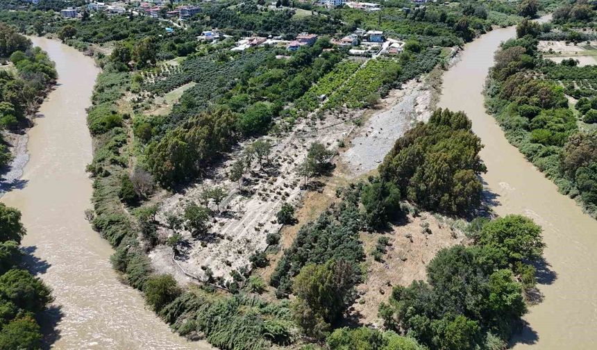 Aşırı yağışlarla debisi artan Asi Nehri'nden gelen taş yığınları, onlarca tarım arazisine zarar verdi