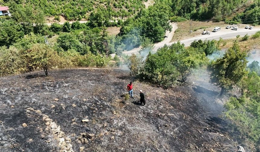 Adana'nın Feke ilçesinde çıkan orman yangını kontrol altında