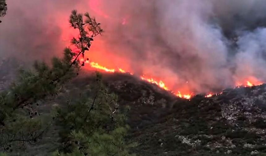 Antalya'nın Kaş ilçesinde orman yangını başladı
