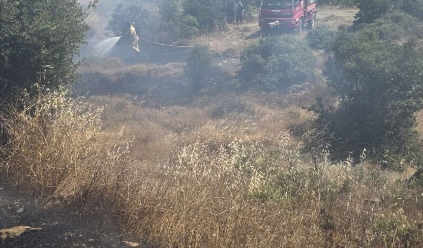 Çanakkale'de tarım arazisinde çıkan yangın söndürüldü