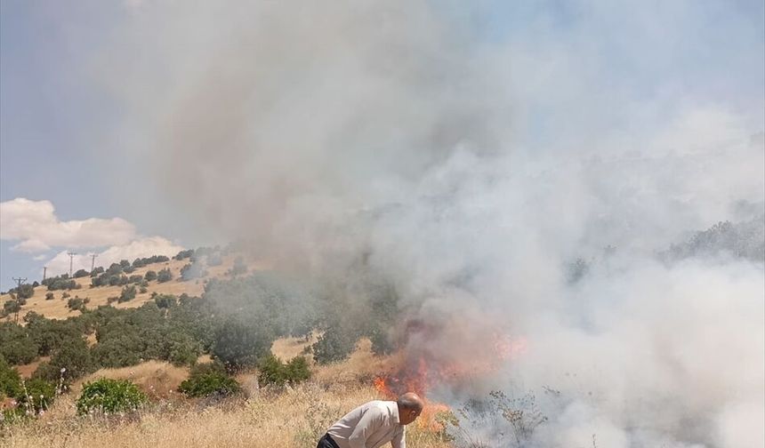 Mardin'de çıkan orman yangınına müdahale ediliyor