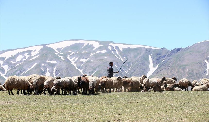 Yazın ortasında soba yakarak ısınıyorlar