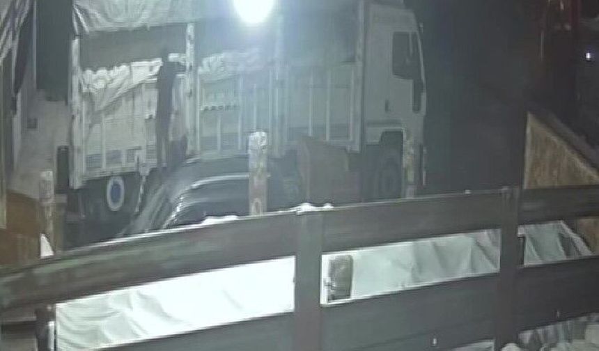 600 kiloluk karpuz ve kavun çalan şüpheli: 'Çabuk satılan ürünler, satmak için çaldık'