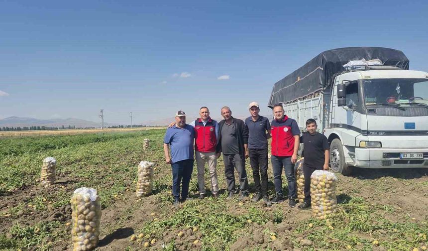 Dinar'da patates hasadı başladı