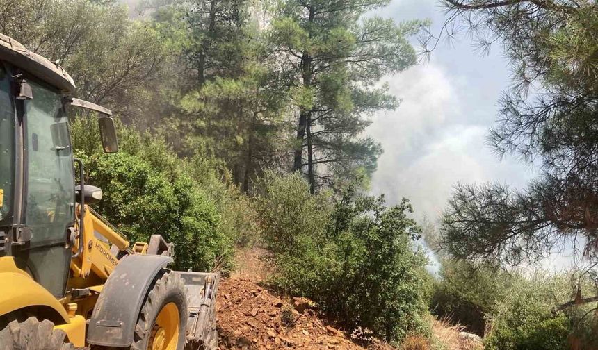 Rüzgarın büyüttüğü yangın 1 saatte söndürüldü