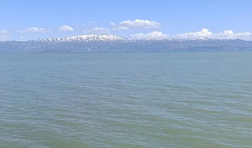 Van Gölü'nde yüzmek yasaklandı