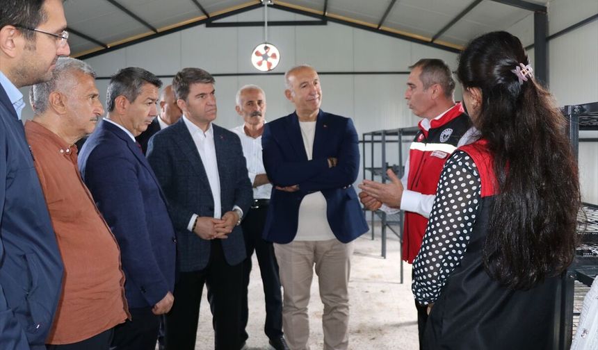 Amasya'da ipek böcekçiliğinin canlandırılması için üreticilere destek verildi
