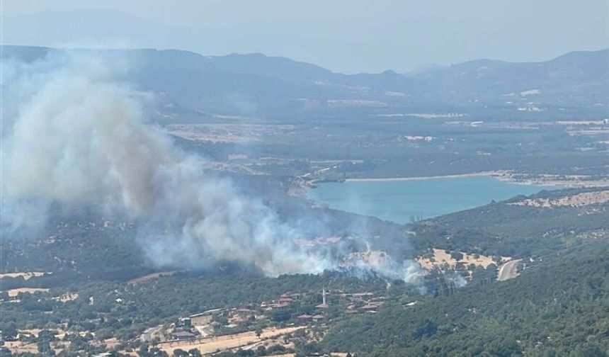 Çanakkale'de zirai alanda çıkan yangın kontrol altına alındı