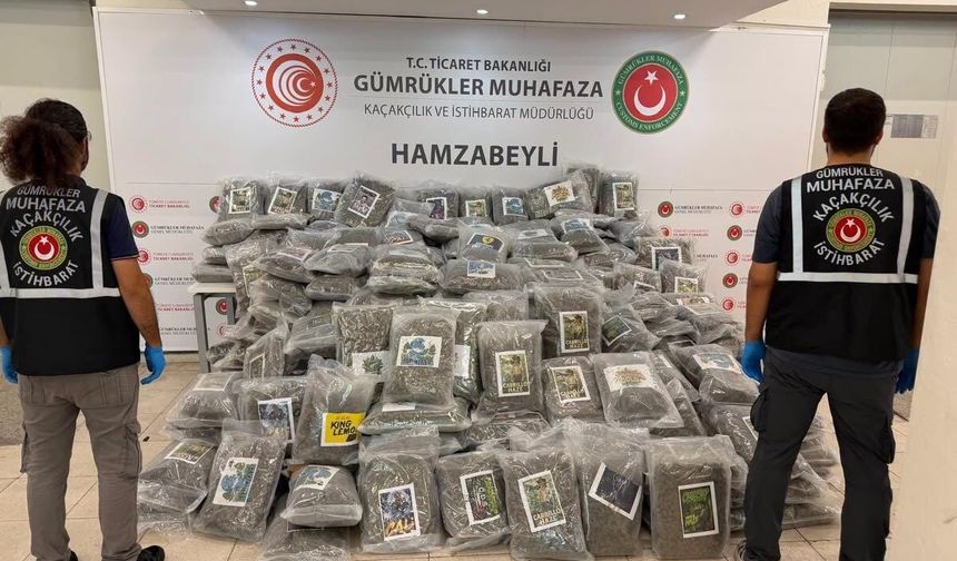 Edirne Hamzabeyli Sınır Kapısı'nda bir tırda yaklaşık 288 kilogram esrar ele geçirildi