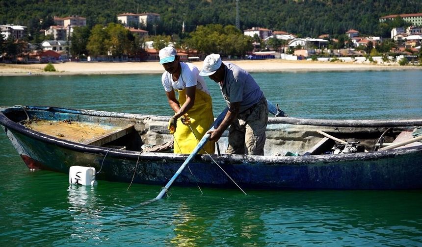 Eğirdir Gölü'nün kerevitleri ihracatla ekonomiye katkı sağlıyor