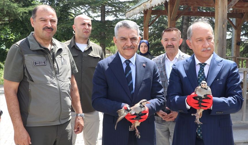 Tarım ve Orman Bakan Yardımcısı Polat, Yozgat'ta Keklik Üretim İstasyonu'nu ziyaret etti