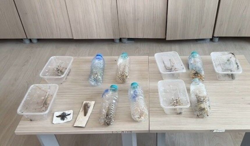 Bakan Yumaklı: İzinsiz tür toplayıcılığı yapan 2 yabancı uyruklu şahsa 1,4 milyon lira idari para cezası uyguladık