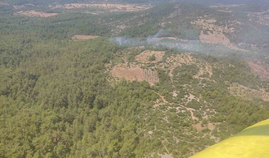 Muğla'da orman yangını kontrol altına alındı