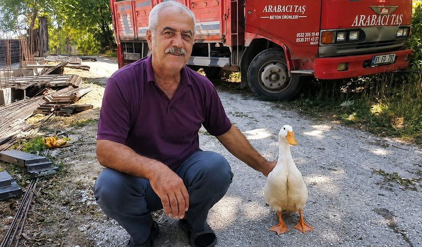 Torunların hevesi geçti, dedenin en yakın dostu oldu