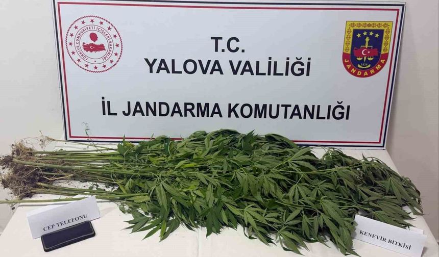 Yalova'da uyuşturucu operasyonu: 3 gözaltı
