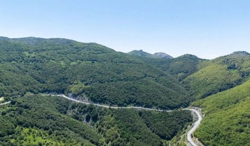 Ormanların korunmasına ve yönetimine 6 ayda yaklaşık 16,5 milyar lira harcandı