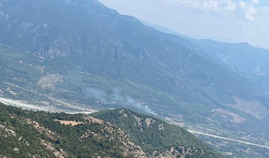 Muğla'da çıkan orman yangını söndürüldü