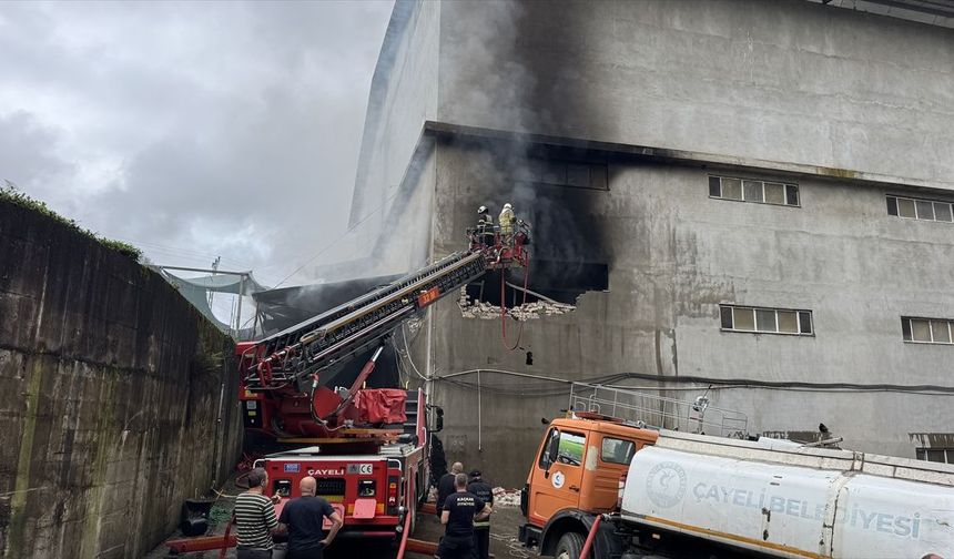 Rize'de çay fabrikasının deposunda çıkan yangın söndürüldü