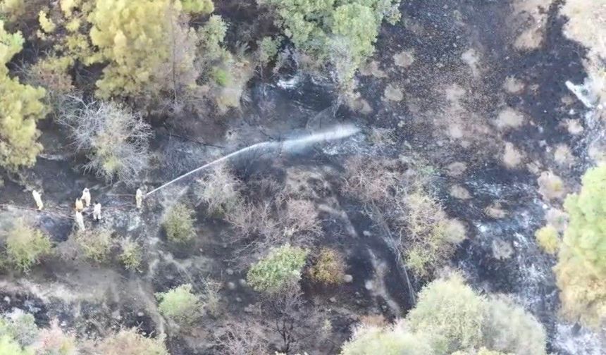 Burdur'da ormanlık alanda çıkan yangın söndürüldü