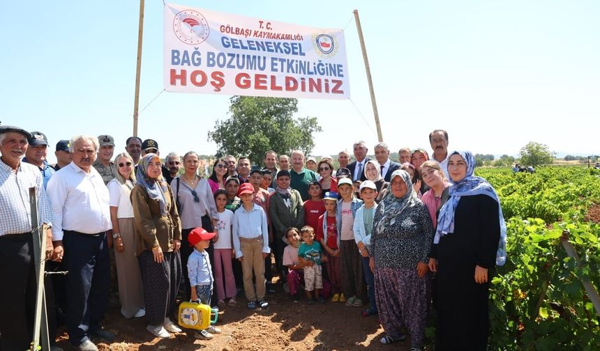 Gölbaşı'nda bağ bozumu heyecanı başladı