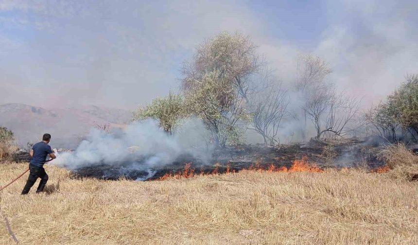 Saraykent'te 150 dönüm arazi yandı