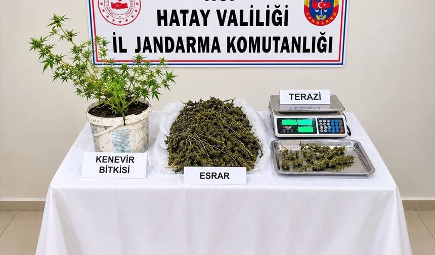 Hatay'da evinde 3 kilo 578 gram esrar ele geçirilen zanlı tutuklandı