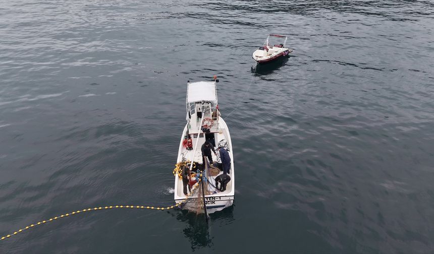Karadeniz'de palamut bolluğu yüz güldürmeye devam ediyor