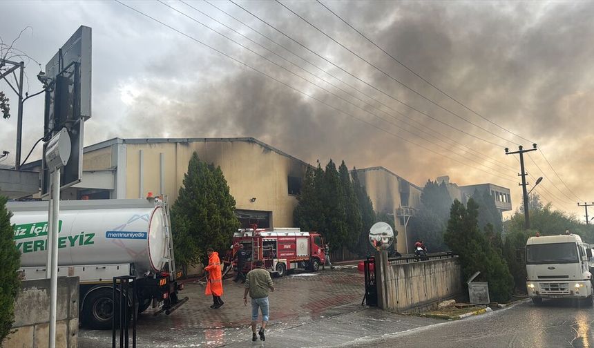 Mersin'de tütün işleme tesisinde yangın çıktı