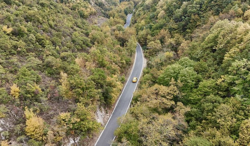 Tekirdağ'da ormanlarda sonbahar renkleri görülmeye başladı