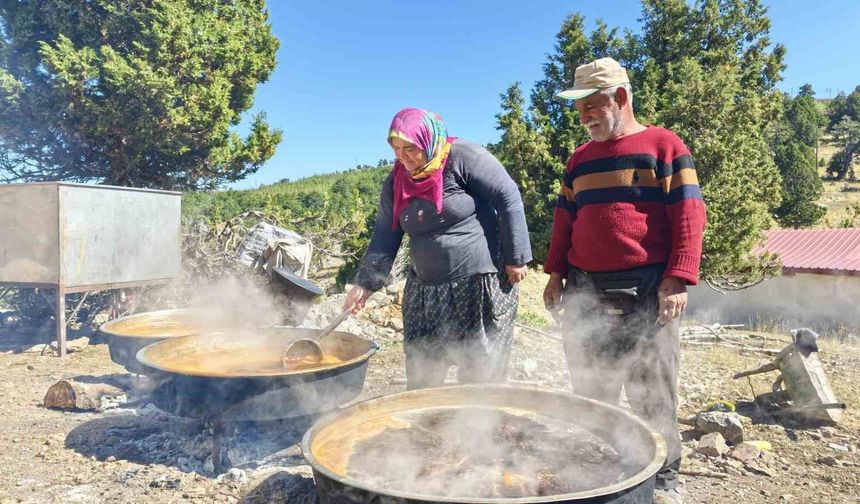 Sahilden yaylaya uzanan doğal yaşam ve Toroslar'da harnup pekmezi mesaisi