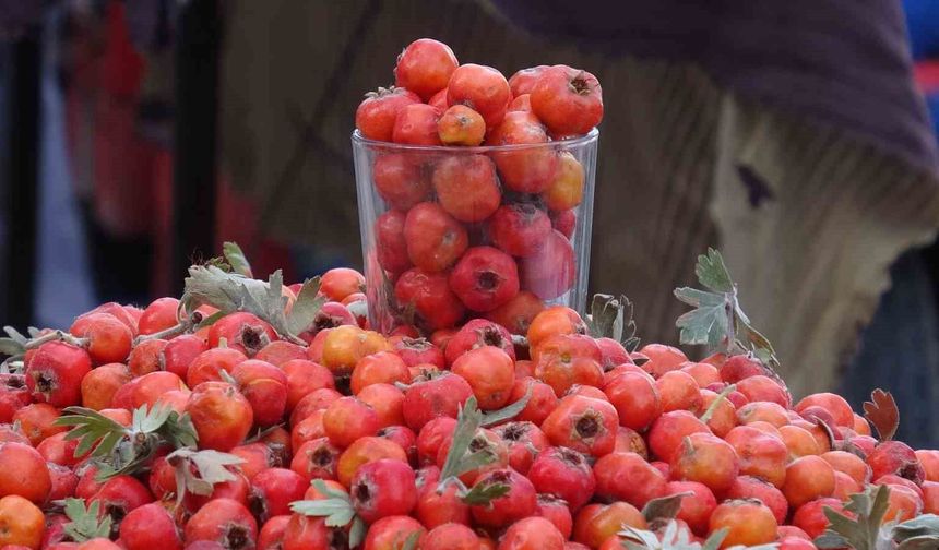 Van dağlarının doğal şifa kaynağı alıç, tezgahlardaki yerini aldı
