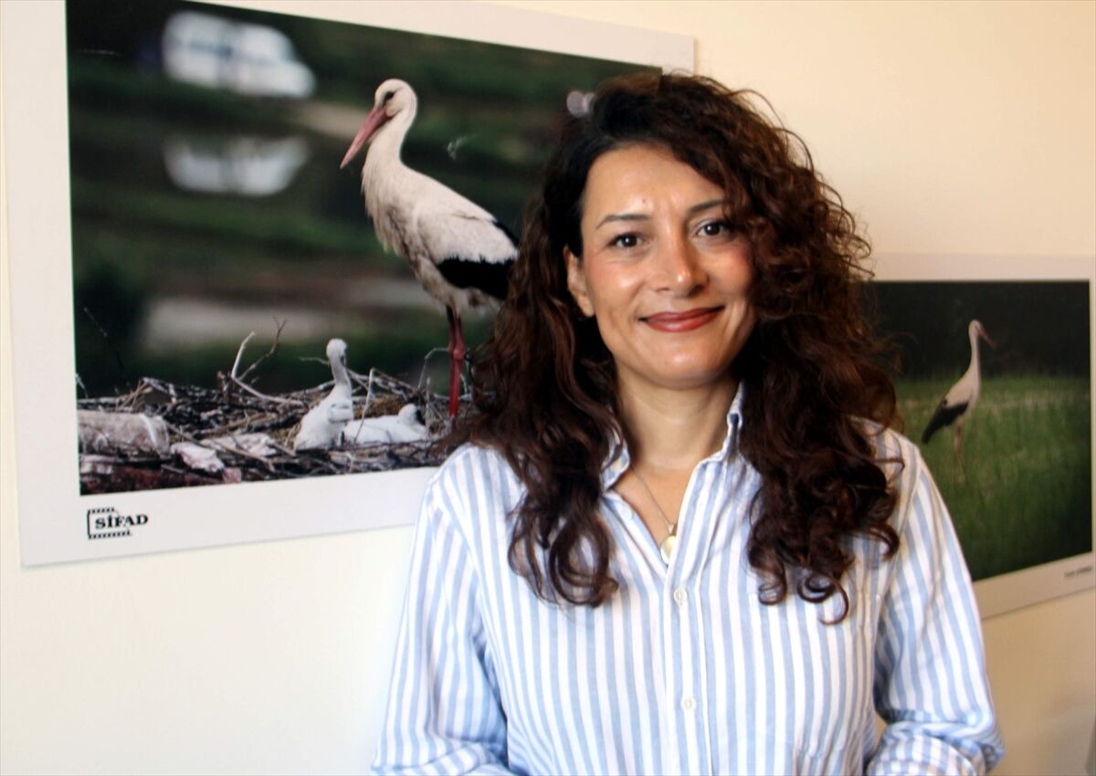 Sinop'ta bu yıl yumurtadan çıkan 73 leylek göç yolculuğuna başladı