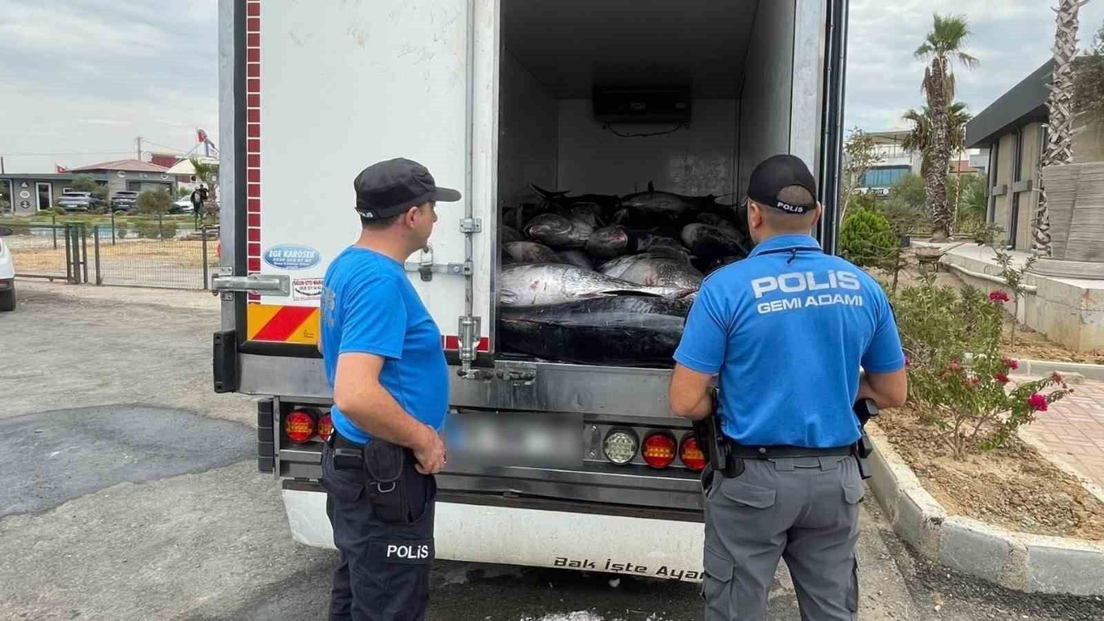 İzmir'de kaçak avlanan 3 ton mavi yüzgeçli orkinos ele geçirildi