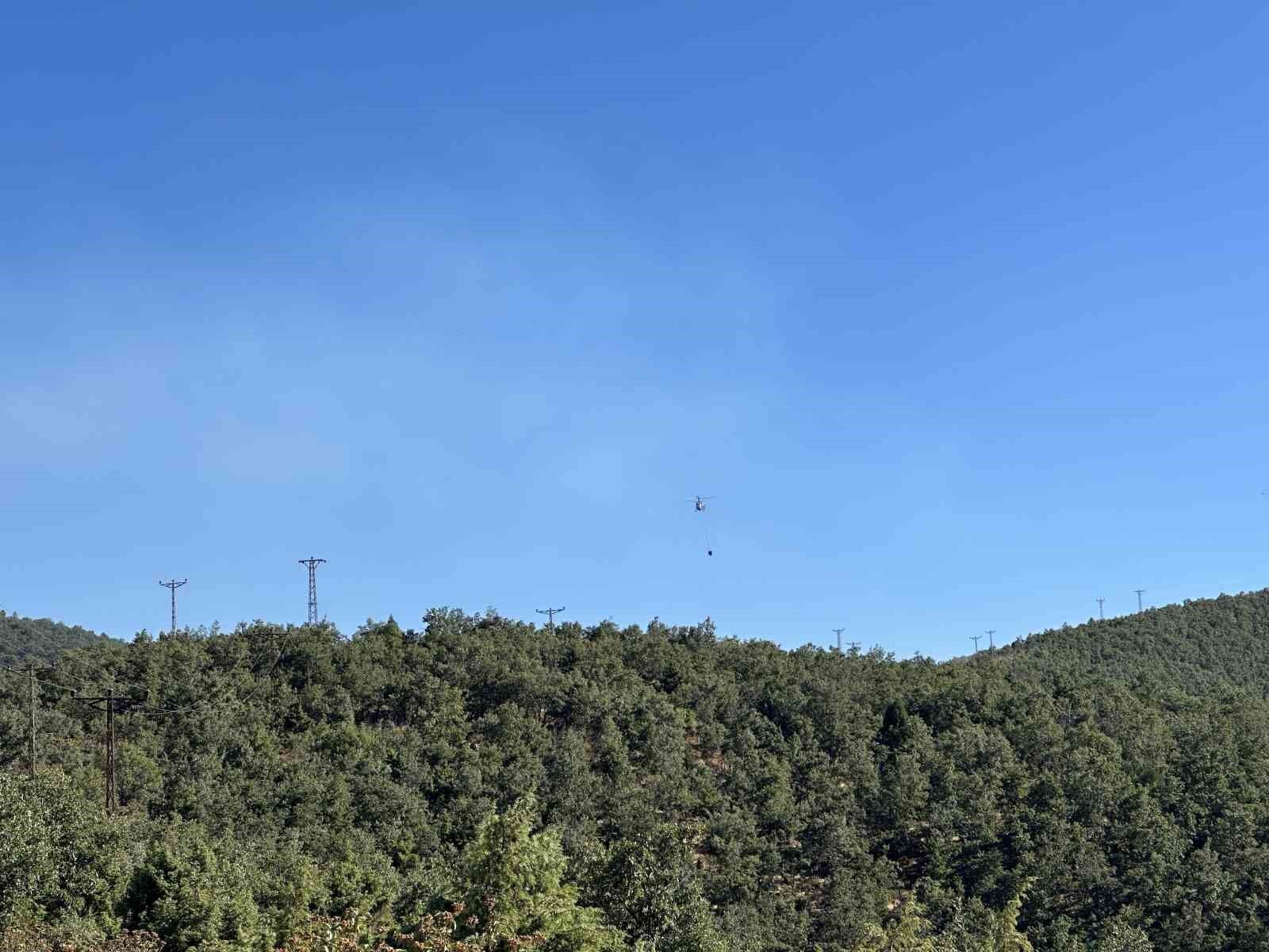 Uşak'ta meşelik alanda çıkan yangın kontrol altına alındı