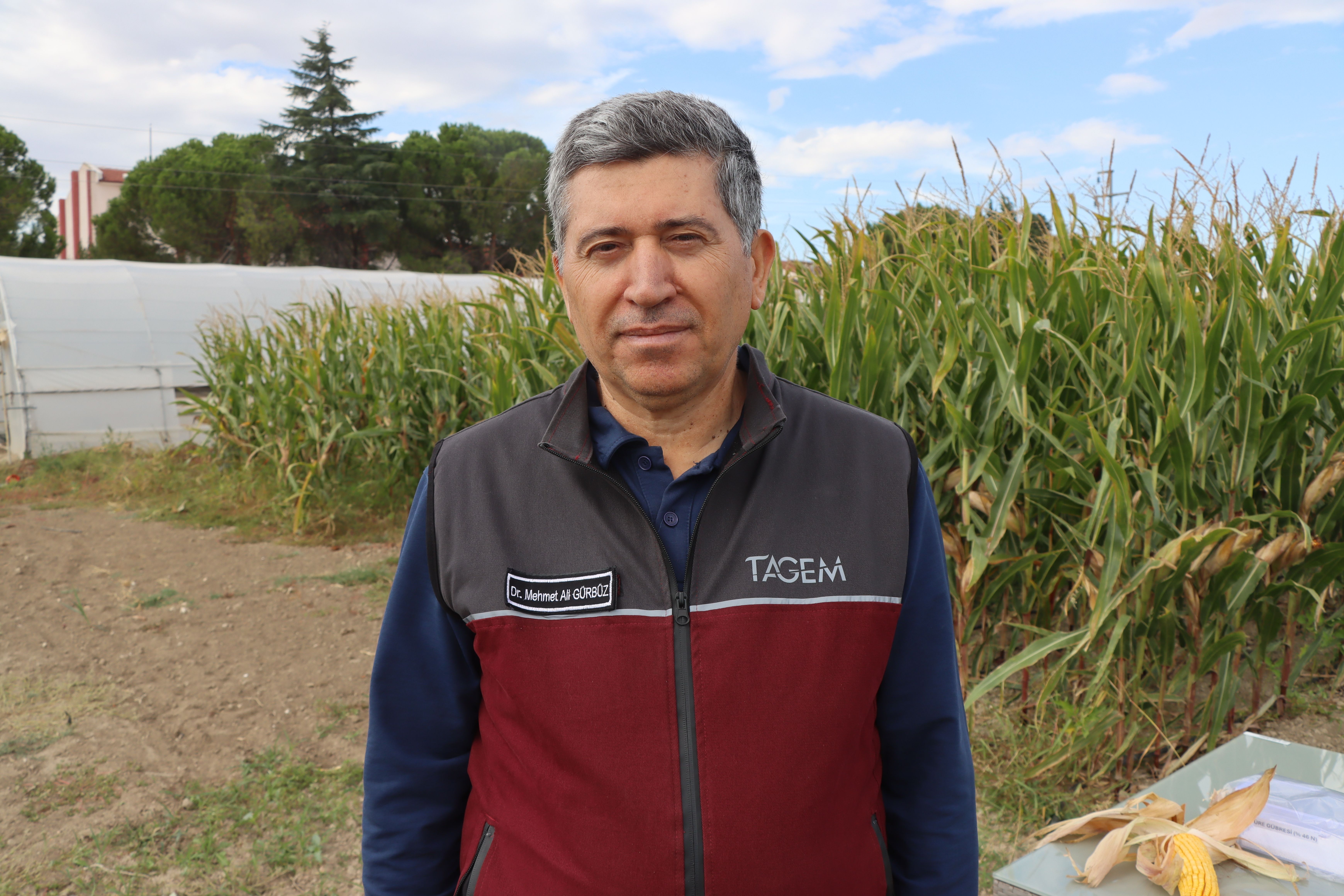 Zeytin atığından kimyasal gübre kullanımını azaltacak yeni organomineral gübreler geliştiriliyor