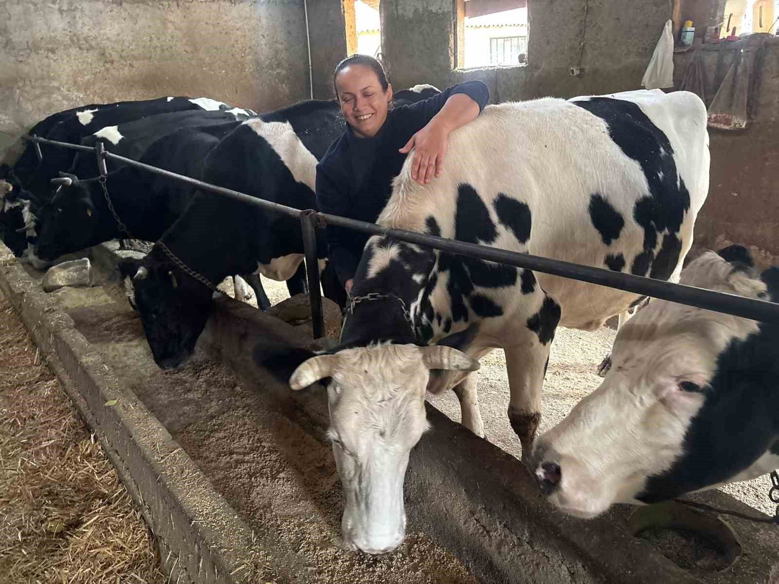 Kadın çiftçinin azmi devlet desteğiyle büyüdü: Edirne'de 5 hayvanla filizlenen umut, 30 hayvanla büyüdü