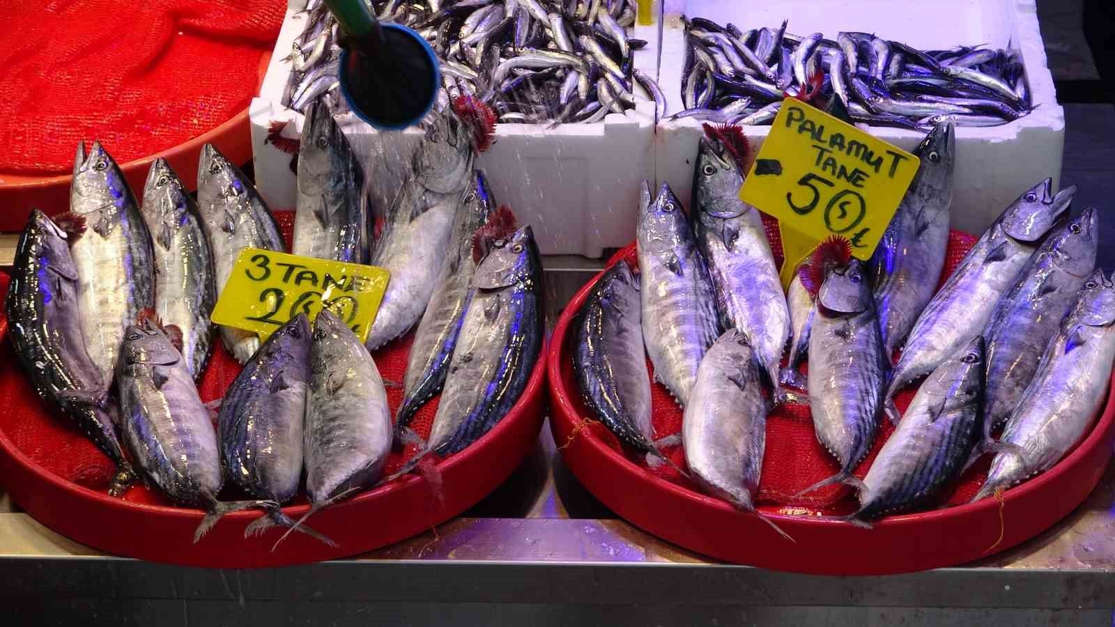 Trabzon'da avlanan palamut miktarı 12 bin kilograma ulaştı